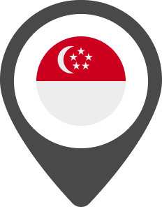singapore-pin