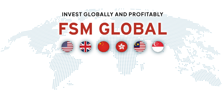 FSM Investor