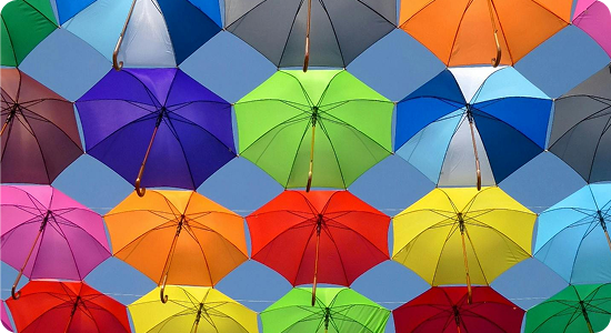 New to Insurance? We've got you Covered.