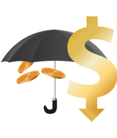 fsm insurance Low-Cost Protection